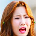รูปโพรไฟล์ของ fyeahchox