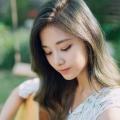 รูปโพรไฟล์ของ DocterNN