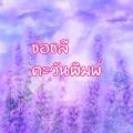 รูปโพรไฟล์ของ tawanpim