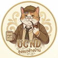 รูปโพรไฟล์ของ chayaratsangsook
