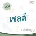 รูปโพรไฟล์ของ net721th
