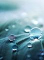 รูปโพรไฟล์ของ TheWater_drops