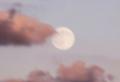 รูปโพรไฟล์ของ sunshyandmoon