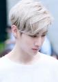 รูปโพรไฟล์ของ TheLittleElf29