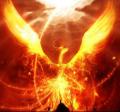 รูปโพรไฟล์ของ Phoenix-Blaze