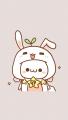 รูปโพรไฟล์ของ RABBITFIC2016