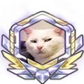 รูปโพรไฟล์ของ xhine