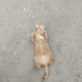 รูปโพรไฟล์ของ sdwjdbd