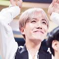 รูปโพรไฟล์ของ hobihopie