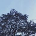 รูปโพรไฟล์ของ __waewy