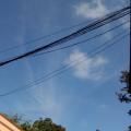รูปโพรไฟล์ของ MySphinx