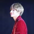 รูปโพรไฟล์ของ __armypin97