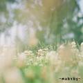 รูปโพรไฟล์ของ mabxby