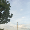 รูปโพรไฟล์ของ kotorifujivara