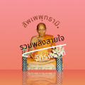 รูปโพรไฟล์ของ wavanwavan9165