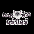 รูปโพรไฟล์ของ nasiccher
