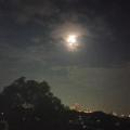 รูปโพรไฟล์ของ 11nth