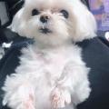 รูปโพรไฟล์ของ Youngjae__