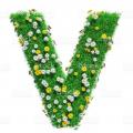 รูปโพรไฟล์ของ varan_rattiya