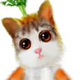 รูปโพรไฟล์ของ carrotcan