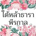 รูปโพรไฟล์ของ newtaita
