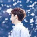 รูปโพรไฟล์ของ wink_b