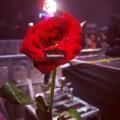 รูปโพรไฟล์ของ bbbbow91