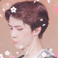 รูปโพรไฟล์ของ Lidaalpaca