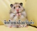 รูปโพรไฟล์ของ gublurmakmak