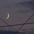 รูปโพรไฟล์ของ soeiletlune