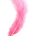 รูปโพรไฟล์ของ PinkFeather1997
