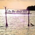 รูปโพรไฟล์ของ inthedeepsea