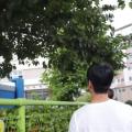 รูปโพรไฟล์ของ PKT_JUN