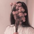 รูปโพรไฟล์ของ rosegurl