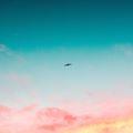 รูปโพรไฟล์ของ theskyandthesea