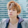 รูปโพรไฟล์ของ meteoru