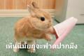 รูปโพรไฟล์ของ Marry1902