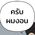 รูปโพรไฟล์ของ N_Thip