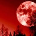 รูปโพรไฟล์ของ Lunarmoon