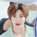 รูปโพรไฟล์ของ marchmauve