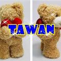 รูปโพรไฟล์ของ Tawan_Ait