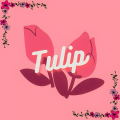 รูปโพรไฟล์ของ tolip