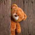 รูปโพรไฟล์ของ teddyxbear