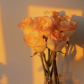 รูปโพรไฟล์ของ flowernovels