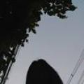 รูปโพรไฟล์ของ Strory_f