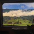 รูปโพรไฟล์ของ whitedaisyme
