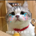 รูปโพรไฟล์ของ annachat009