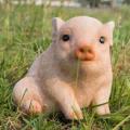 รูปโพรไฟล์ของ minicutepiggaboo