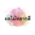รูปโพรไฟล์ของ Pollamailaksee