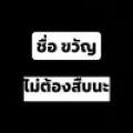 รูปโพรไฟล์ของ SMERF